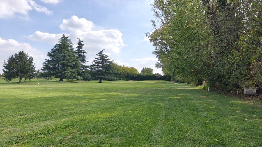 Fairway tra le conifere