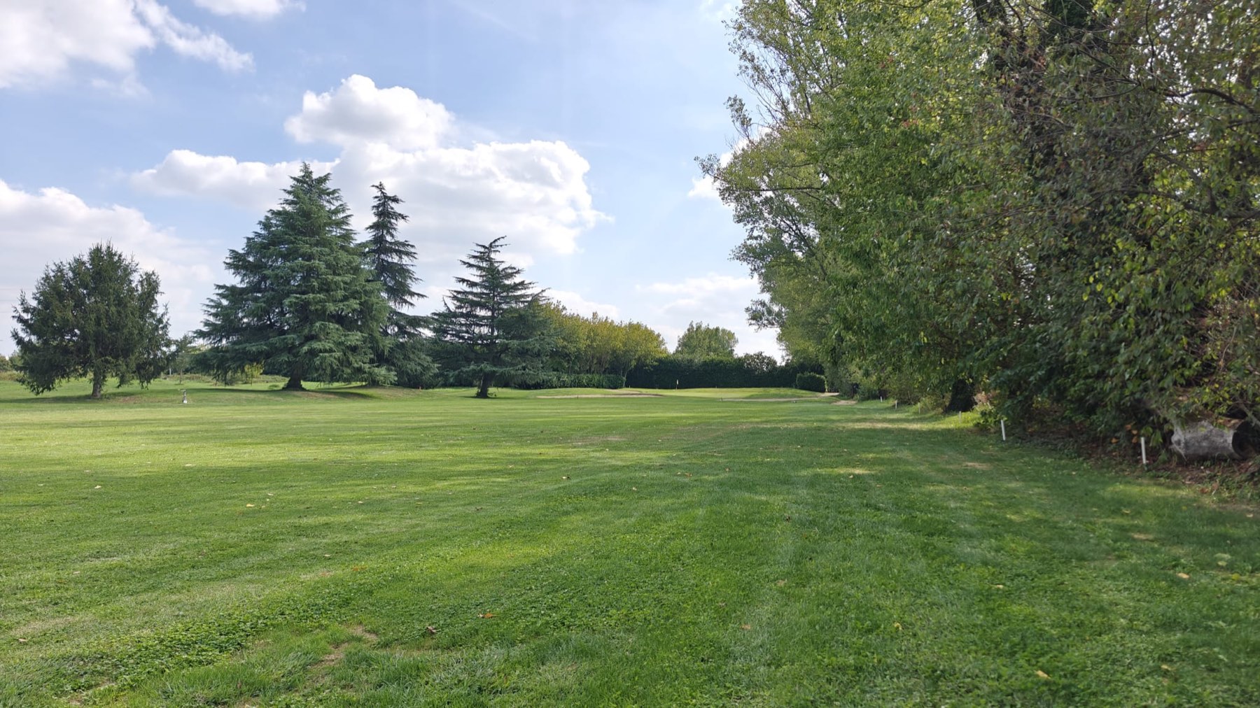 Fairway tra le conifere