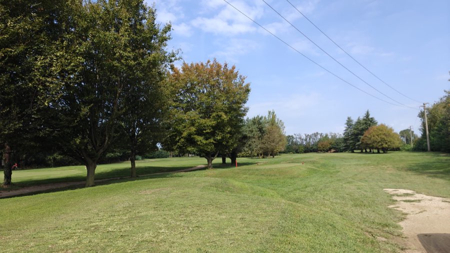 Filari di alberi sul percorso