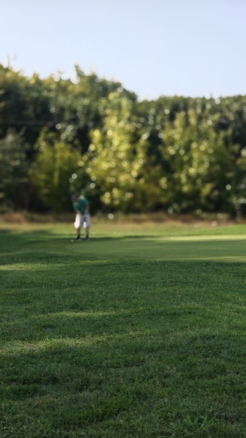 Sul green