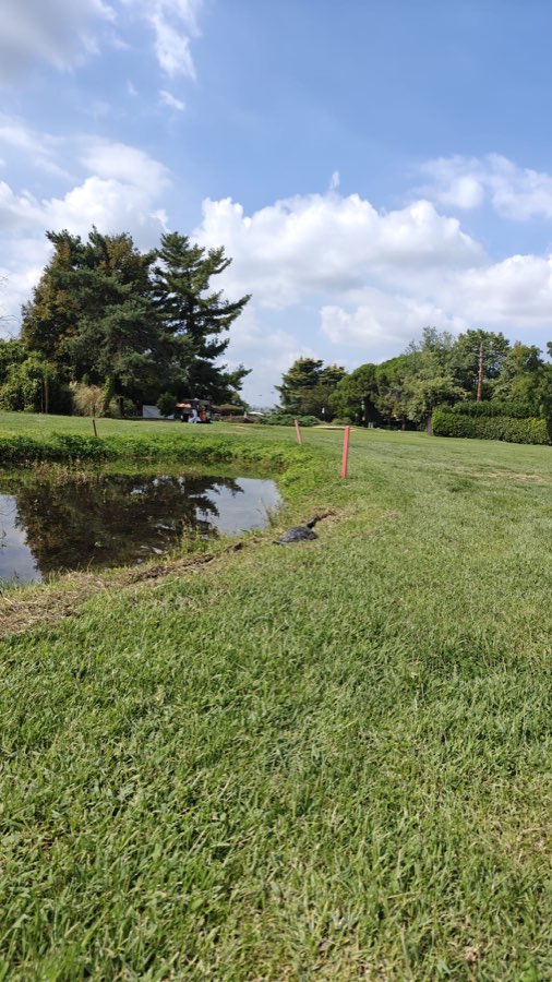 L'acqua in gioco